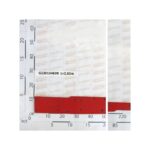 STAFFONE PORTANTE MT 2,05